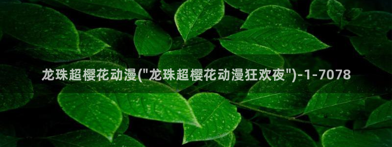 y樱花动漫
