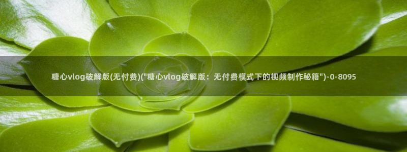 心糖vlog官网入口