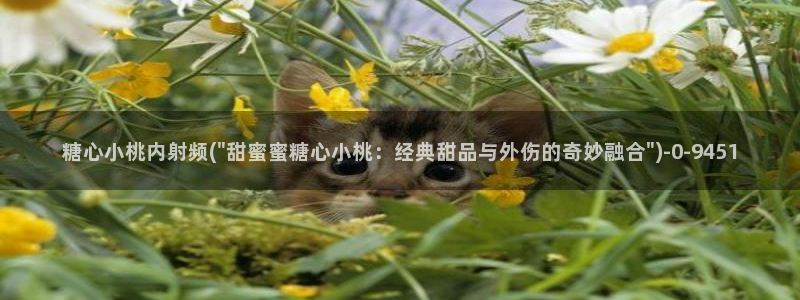 糖心vlog产精国品免费入