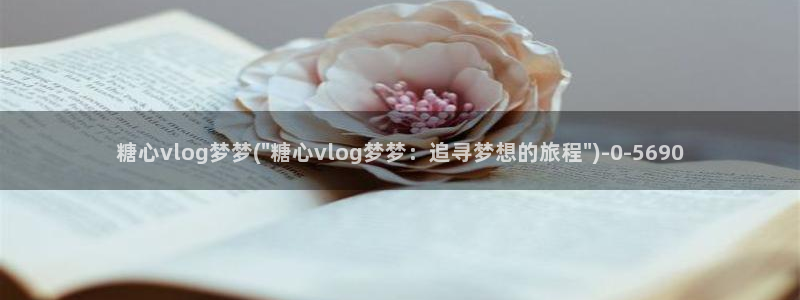 糖心出品vlog