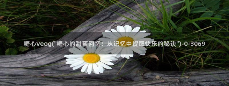 糖心.vlog