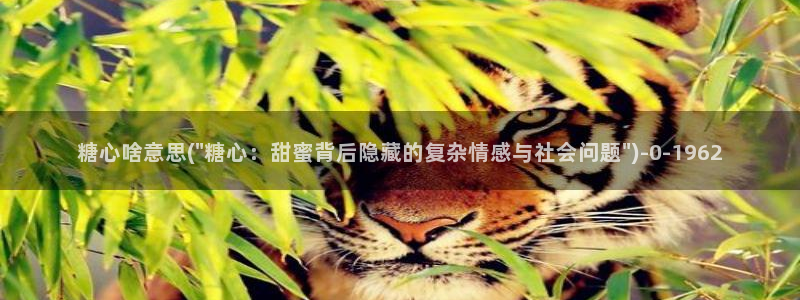 糖心vlog所有作品