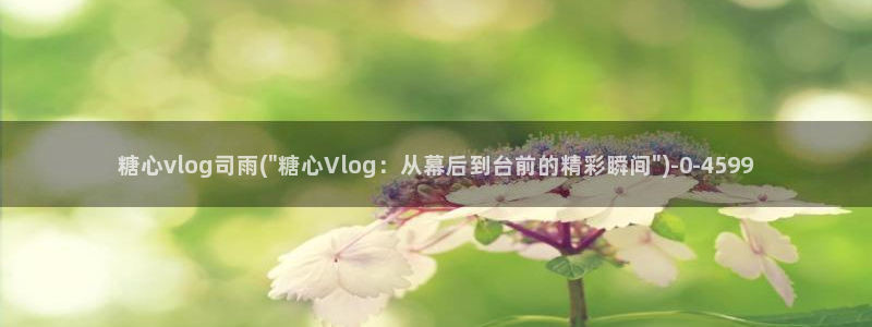 糖心vlog冉冉