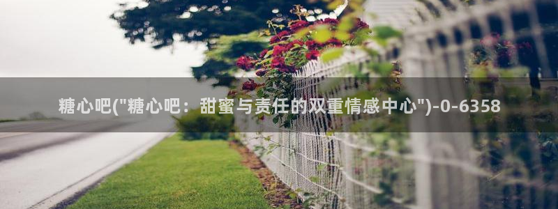 糖心vlog免费软件