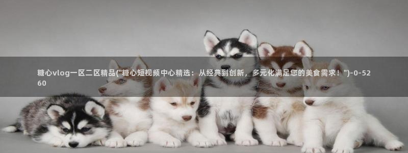 心糖vlog免费版