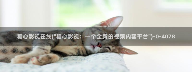 糖心vlog免费下载观看