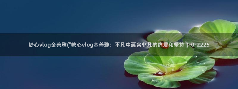 糖心vlog视频在线播放