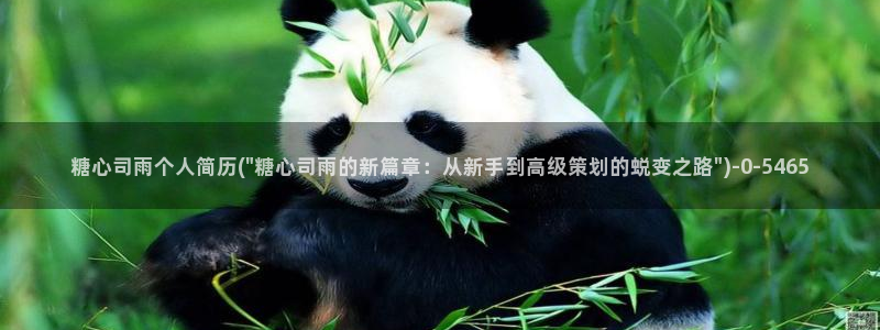 糖心vlog精品国产免费入