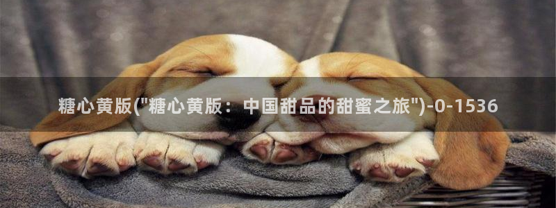 糖心vlog破解版下载免费